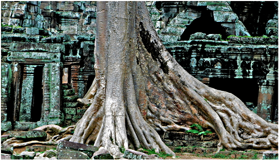 JK_Angkor_Kambodscha.
